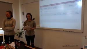 Ängelholm bilder